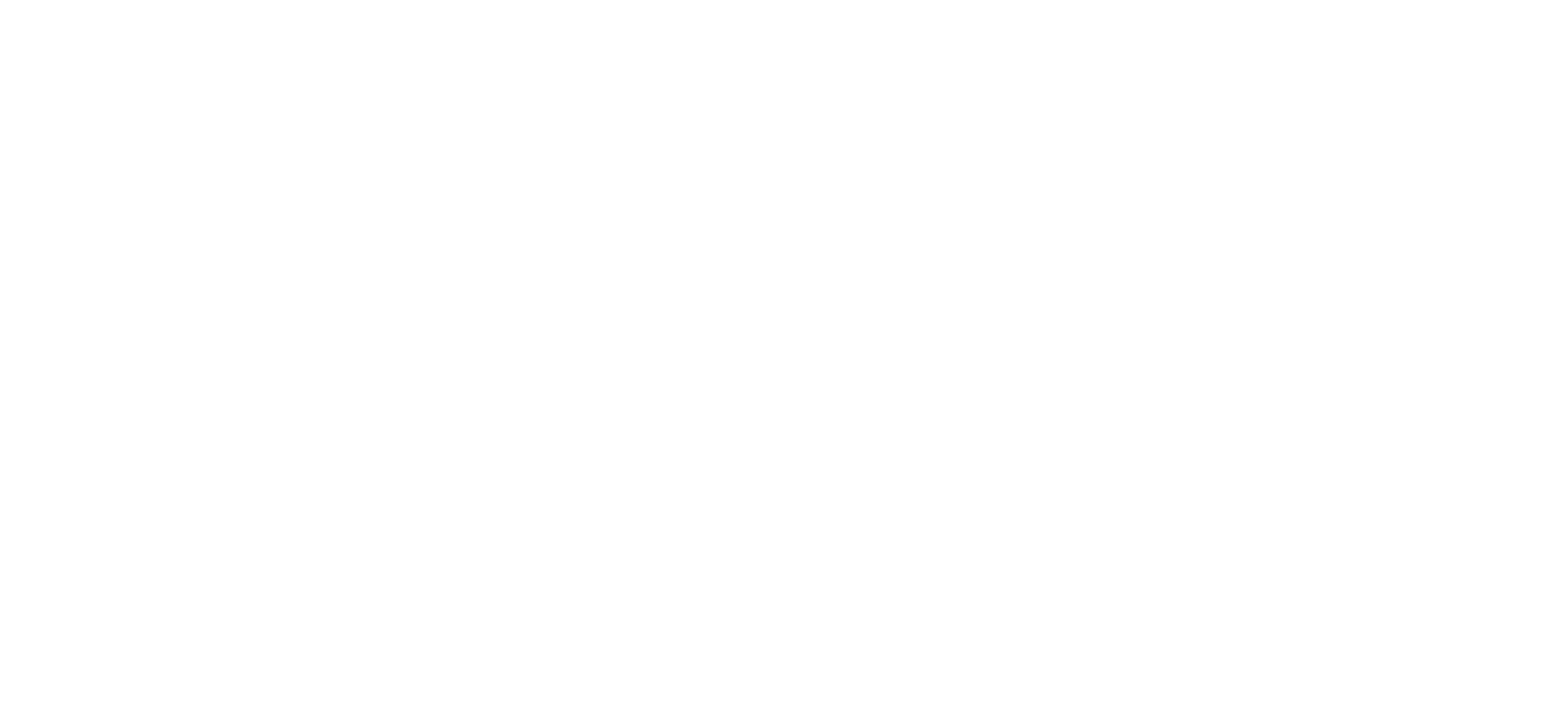 Logo partner